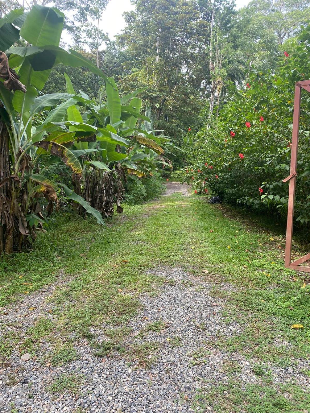Caribbean Retreats Villa Cocles Buitenkant foto