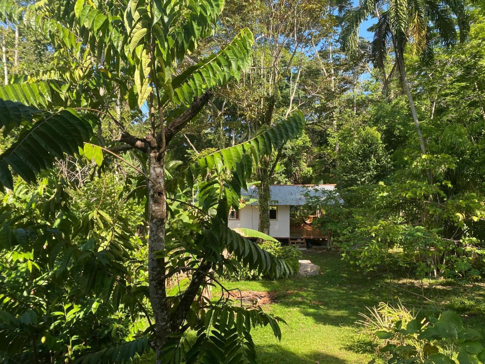 Caribbean Retreats Villa Cocles Buitenkant foto