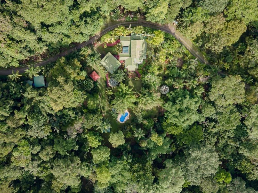 Caribbean Retreats Villa Cocles Buitenkant foto