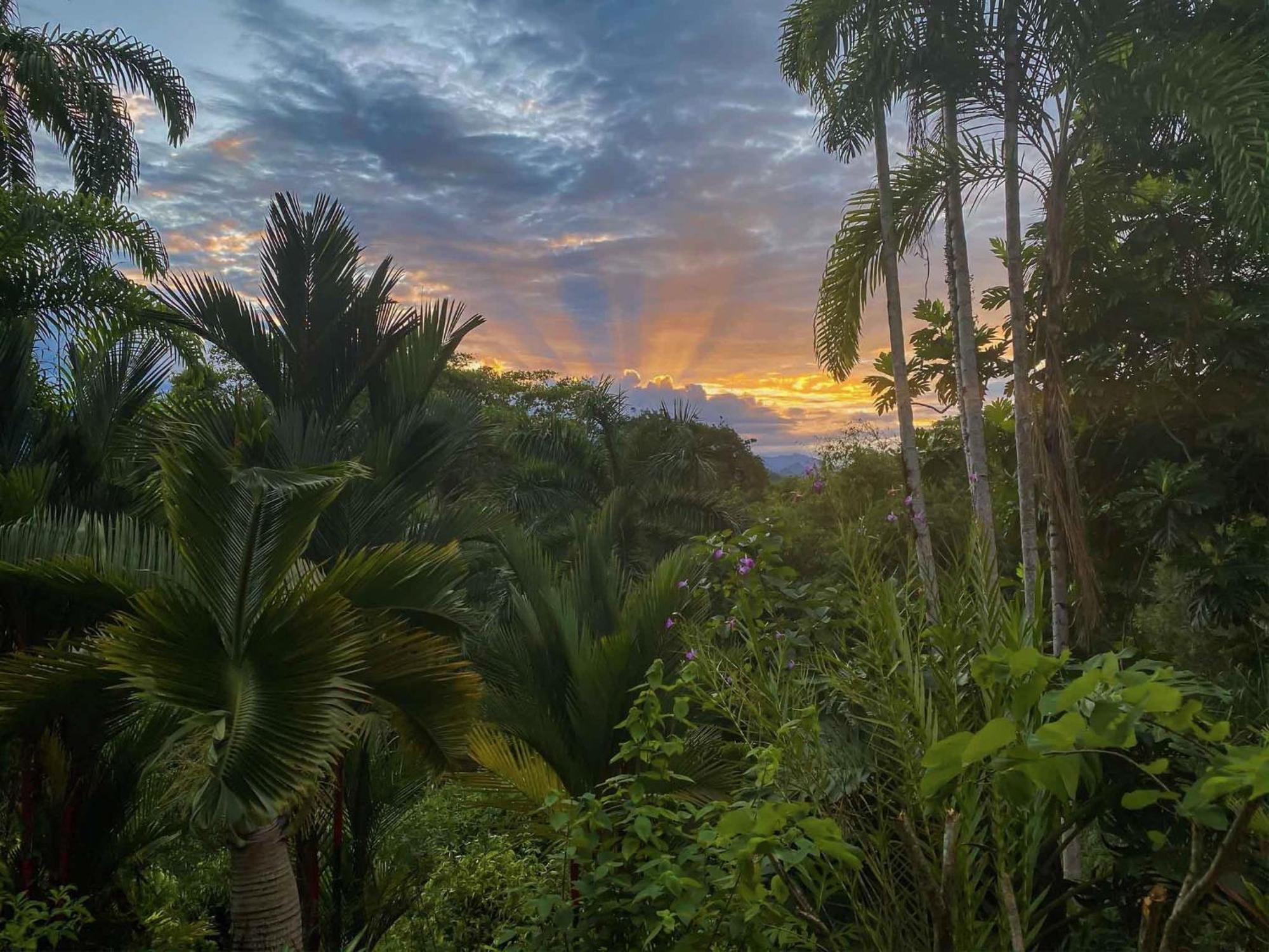 Caribbean Retreats Villa Cocles Buitenkant foto